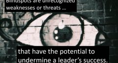 The 3 Deadly Blind Spots Executive Leaders Must Avoid | Results Driven Coaching | Nick Van Nice | leadership development | executive leadership coaching